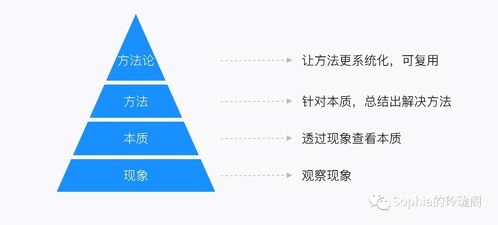 全面揭秘，介绍托平台的深度剖析