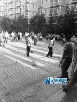 蓝翔技校百人跨省打架事件：真相与反思